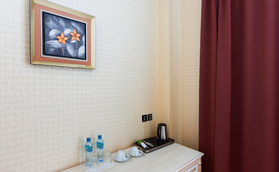 Твин стандарт